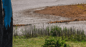 Mudança climática reduz PIB brasileiro em 0,1% ao ano e atrasa desenvolvimento, diz secretário
