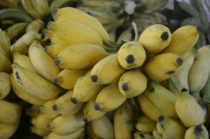 Preço da banana sobe 24% num período de 12 meses