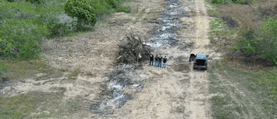 Polícia Federal indicia empresários por desmatamento em área de proteção ambiental do RN