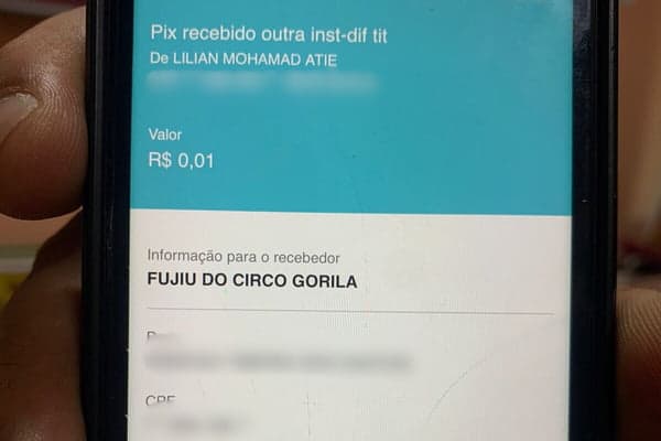 “Foi o caos”, diz personal vítima de racismo, via Pix, por empresária