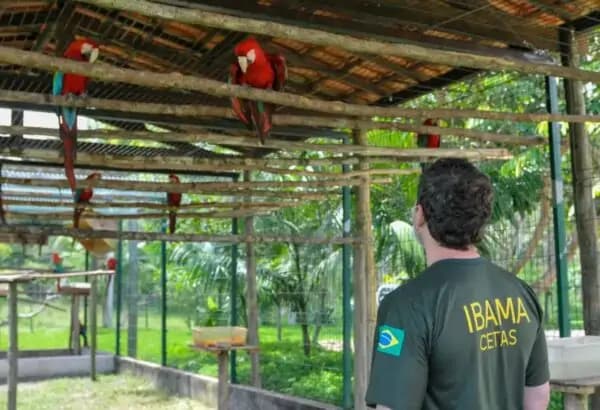 Servidores do Ibama no RN e mais 14 estados decidem entrar em greve