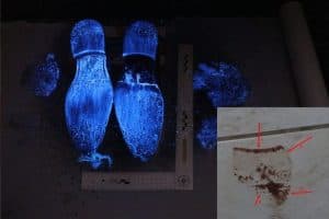 Exame de DNA comprova que sangue encontrado em sapato de João Carvalho é de psicóloga