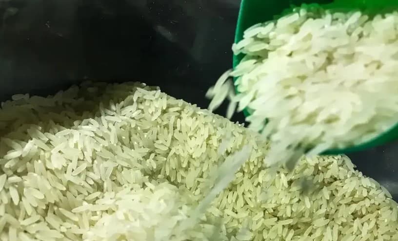 LEILÃO DO ARROZ: Após exonerar secretário Neri Geller, ministro confirma demissão de diretor da Conab