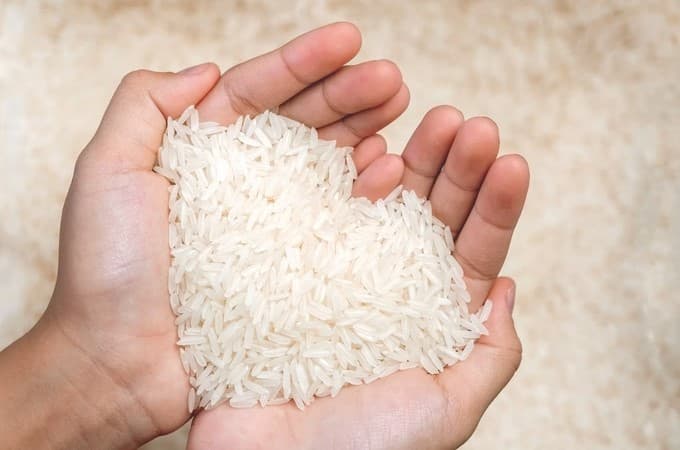 Confederação da Agricultura e Pecuária do Brasil vai ao STF contra importação de arroz pelo governo federal