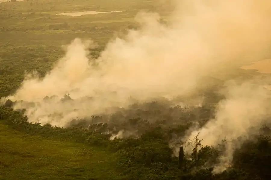 Com incêndios, Mato Grosso do Sul decreta situação de emergência