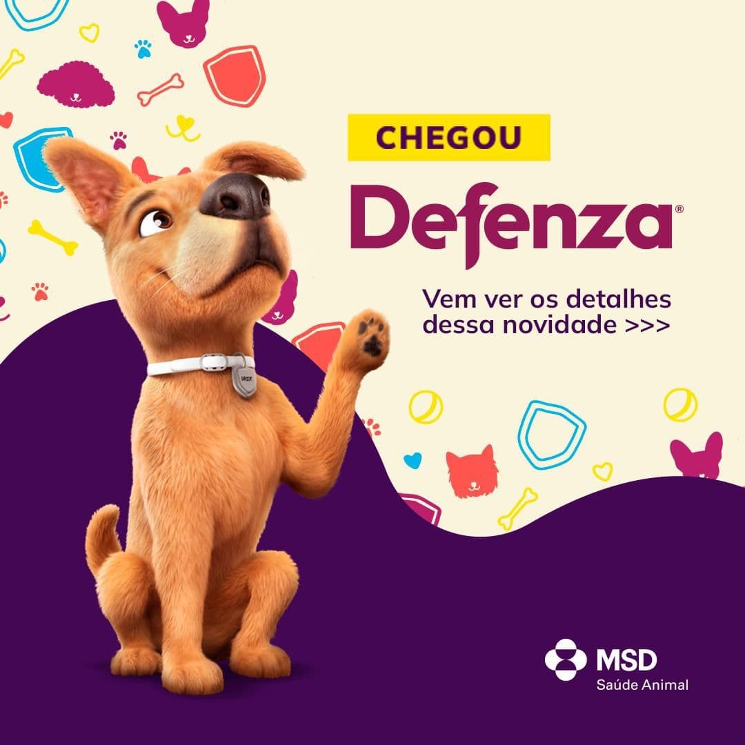 Chegou Defenza: Vamos ver os detalhes dessa novidade
