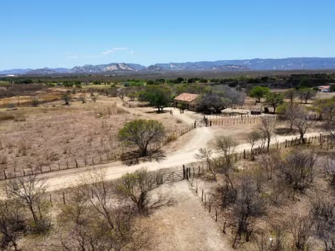 RN não implantou política de combate à desertificação prevista em lei, aponta TCE