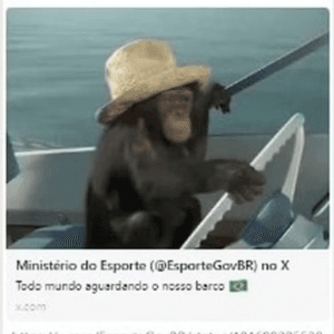 Ministério faz postagem racista com macaco em alusão ao barco do Brasil na abertura das Olimpíadas, tira do ar e lamenta