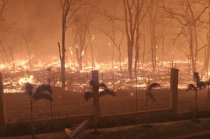 Sufocado pela fumaça dos incêndios, Brasil busca culpados e soluções