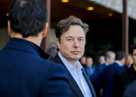 “Investir no Brasil sob a administração atual é insano”, diz Musk