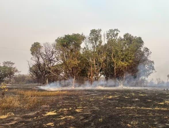 5,65 MILHÕES DE HECTARES: Mês de agosto responde por quase metade da área queimada no Brasil em 2024