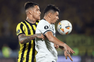 Botafogo avança à final da Libertadores pela 1ª vez e vai disputar título com Atlético-MG