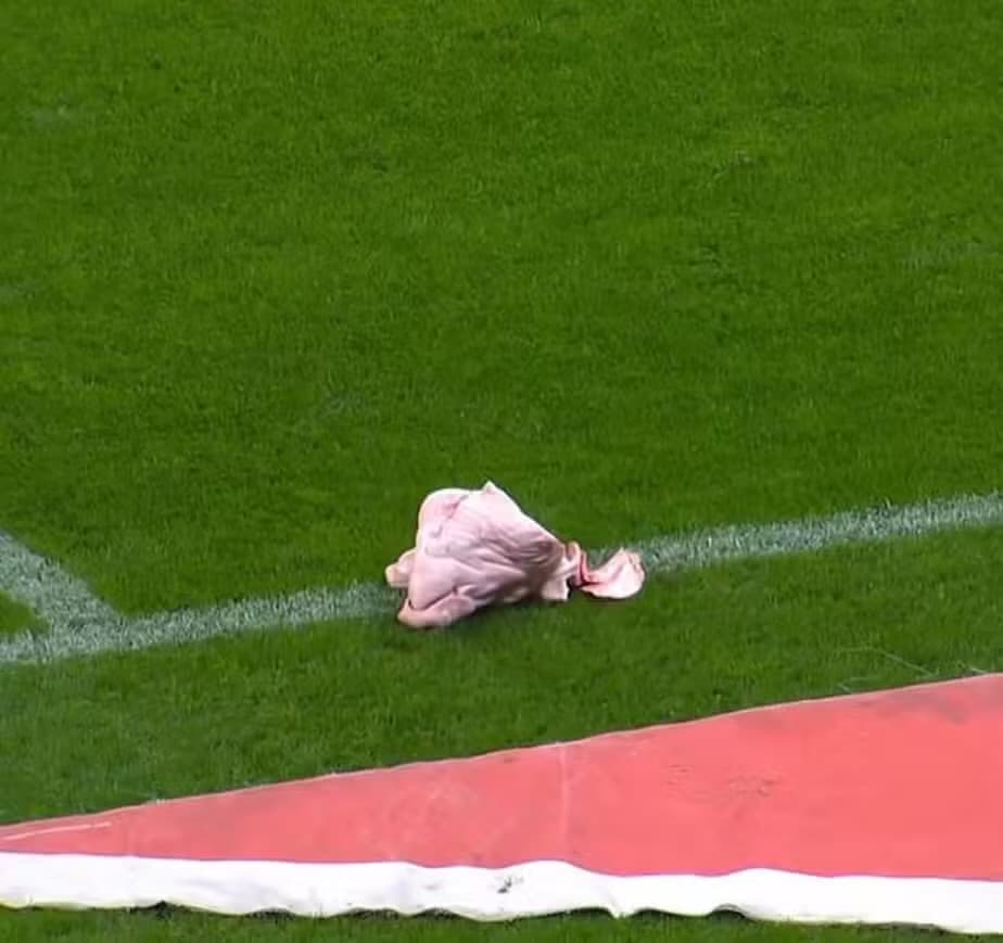 Cabeça de porco é arremessada em campo durante Corinthians x Palmeiras
