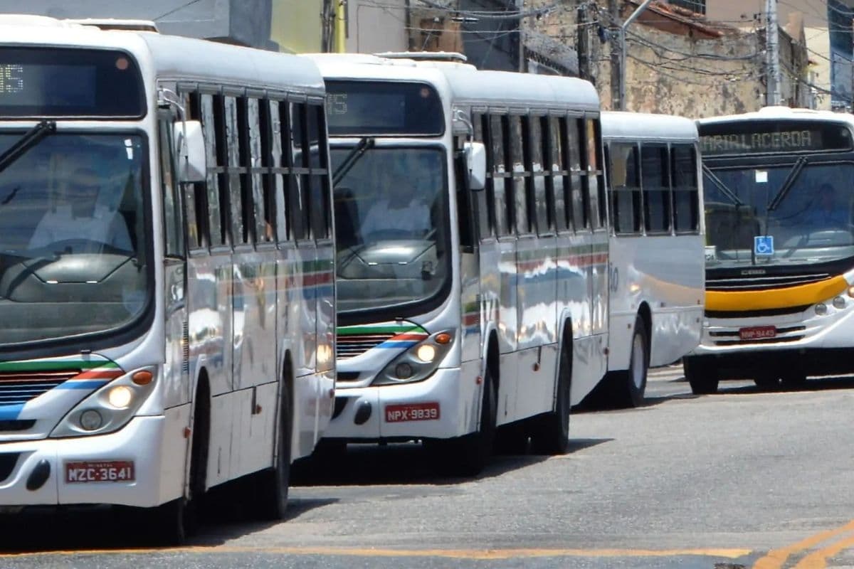 Transporte público terá funcionamento especial para os shows do Réveillon e o Festival Vem Verão
