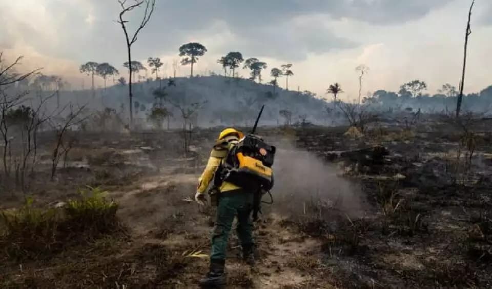 Área queimada no Brasil cresce 90% em relação a 2023