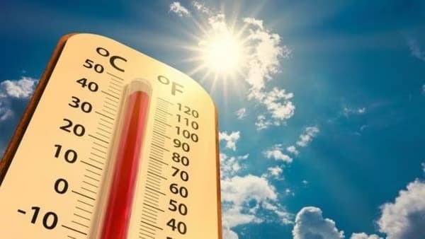 2024 teve 41 dias extras de calor extremo por conta de mudanças climáticas