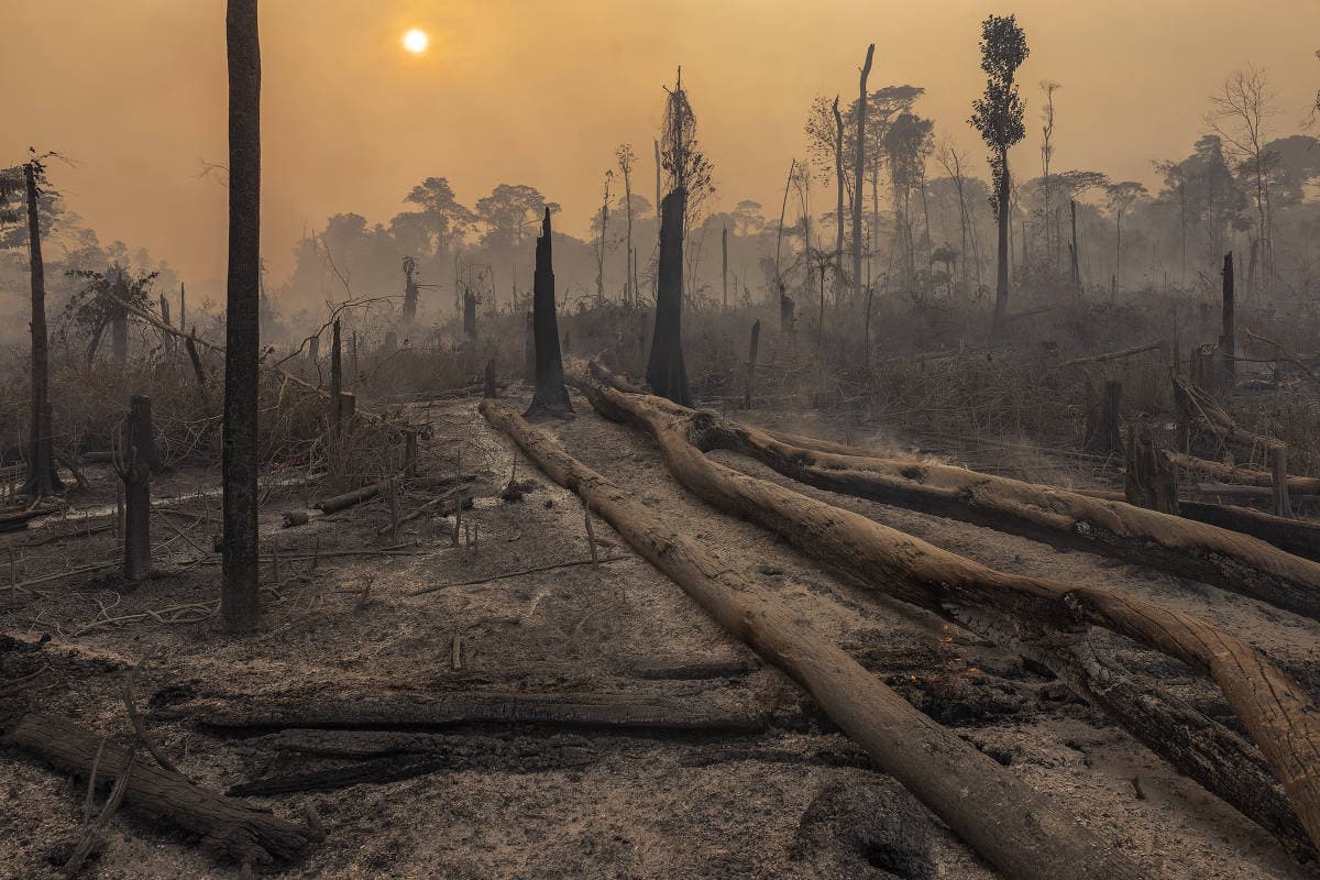 Brasil registra 278,2 mil focos de incêndio no ano, pior número desde 2010
