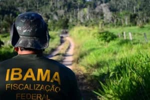 Ibama lança concurso com vagas para o RN e salário inicial de R$ 9,9 mil