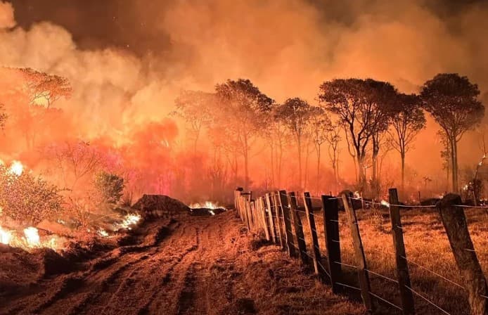 Pantanal teve quase um quinto da área total queimada em 2024, aponta estudo