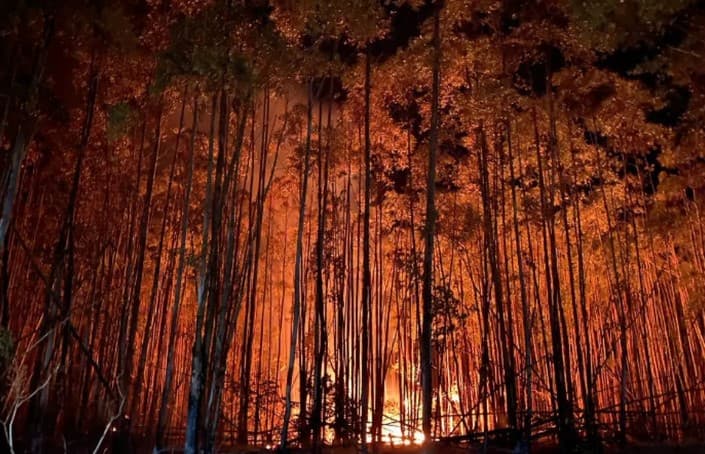 Brasil registra 278,2 mil focos de incêndio no ano, pior número desde 2010