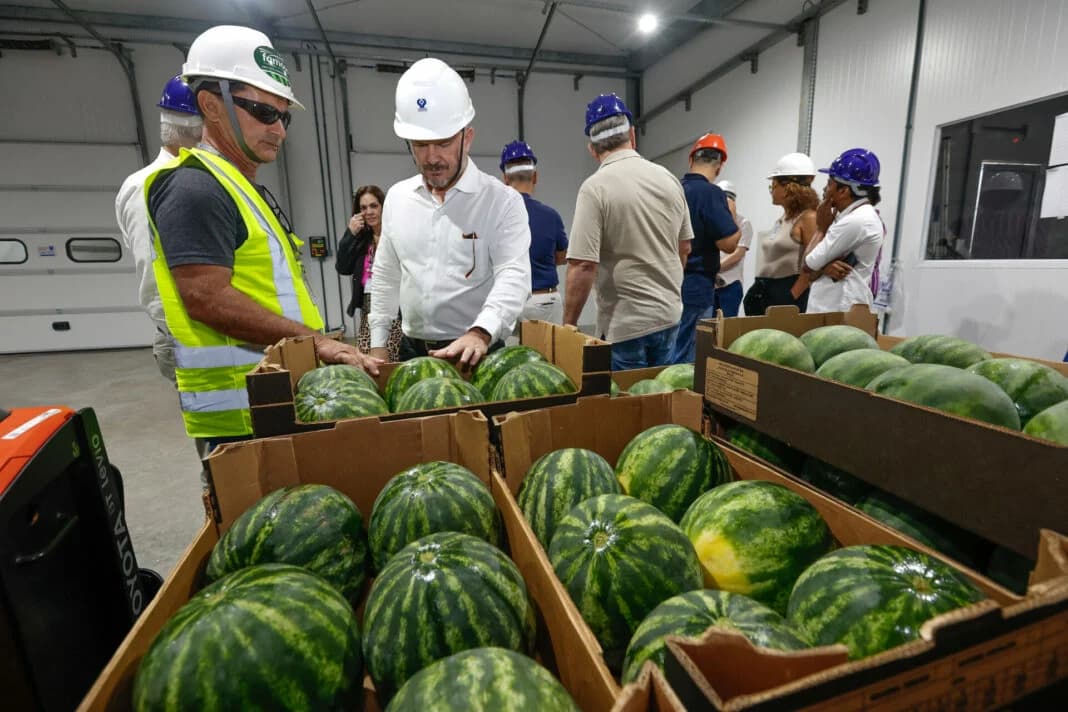 Exportações do RN crescem 250% em uma década e atingem US$ 1,1 bilhão