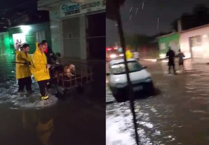 Bombeiros resgatam duas pessoas com deficiência visual e animais de alagamento em Natal