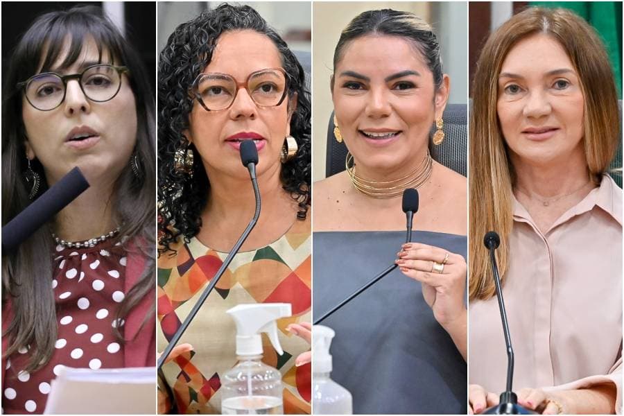 Deputadas do RN defendem projeto de cota com 20% para eleição de mulheres