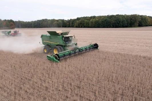 Recuperações judiciais no agronegócio crescem 138% em 2024