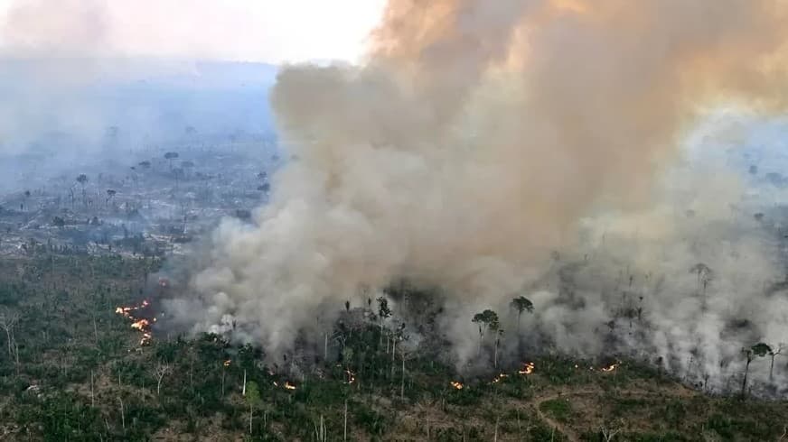 Fogo faz desmatamento na Amazônia em maio subir 92% em relação a 2024