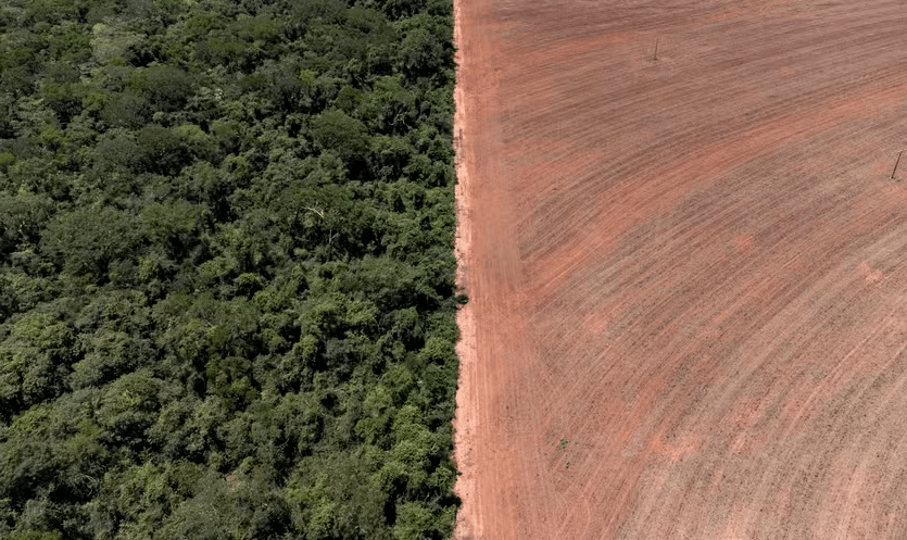Brasil perdeu território maior que a Bolívia de áreas naturais em 40 anos, mostra estudo