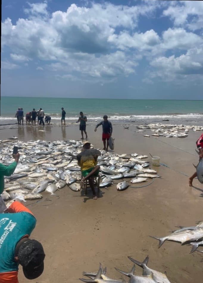 [VÍDEO] Fartura no mar: pescadores de Galinhos celebram temporada histórica de pesca