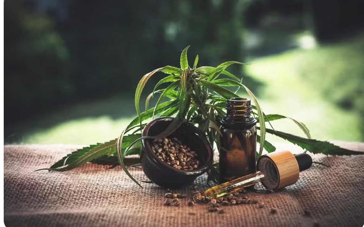 Justiça autoriza Associação do RN a cultivar maconha para uso medicinal