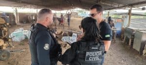 Incinerada no RN: Polícia queima 1,2 tonelada de cocaína avaliada em R$ 150 milhões