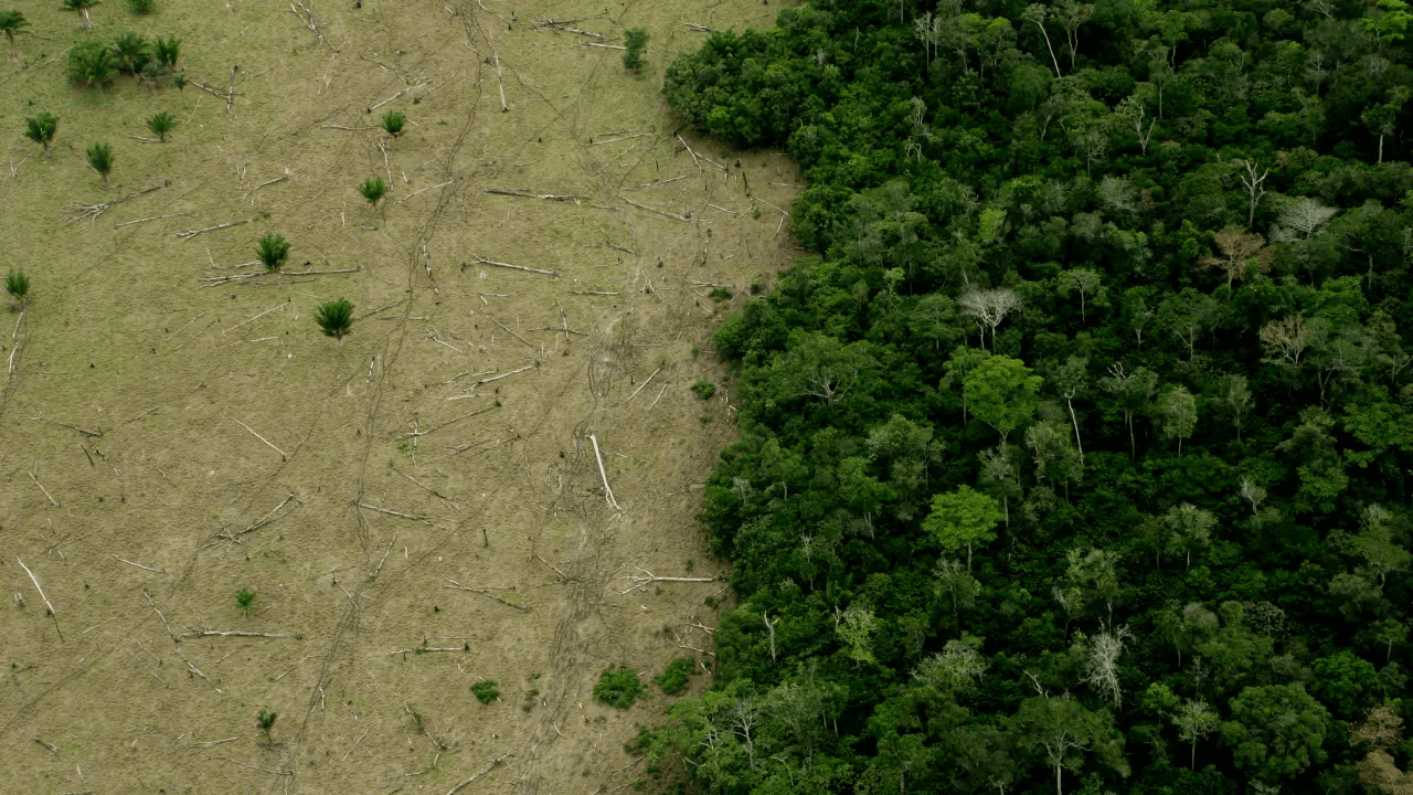 Amazônia em alerta vermelho: calor extremo e secas históricas ameaçam floresta e cidades