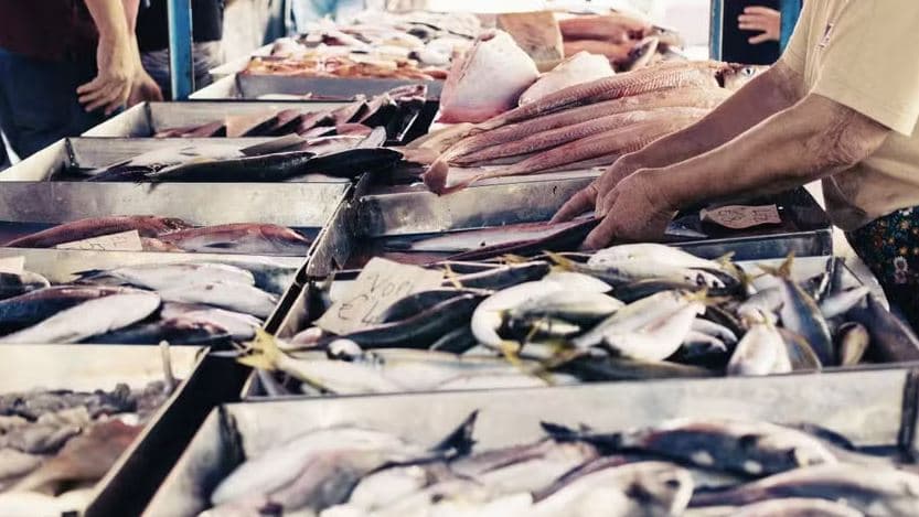 Setor de pescados fica fora da lista de exceções dos EUA e fala em ‘frustração’
