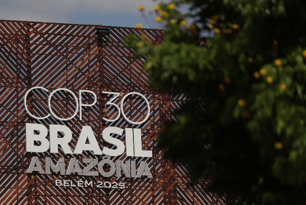 Indulto de 2025 pode liberar crimes ambientais e tráfico privilegiado no ano da COP30