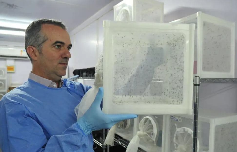 Cientista brasileiro entra na lista da Nature como um dos 10 que marcaram a ciência em 2025