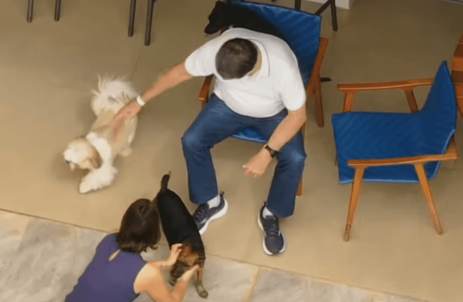 Defesa pede a Moraes ‘livre acesso' de filhos à casa onde Bolsonaro cumpre prisão domiciliar