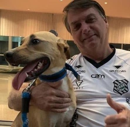 CAOS NA GUARDA: PMs são mordidos por ‘caramelos’ na casa de Bolsonaro e relatam situação absurda; veja o que aconteceu