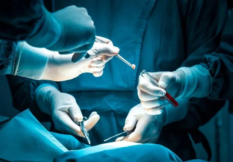 Planos de saúde no RN serão punidos se cancelarem contratos de pacientes em tratamento contínuo