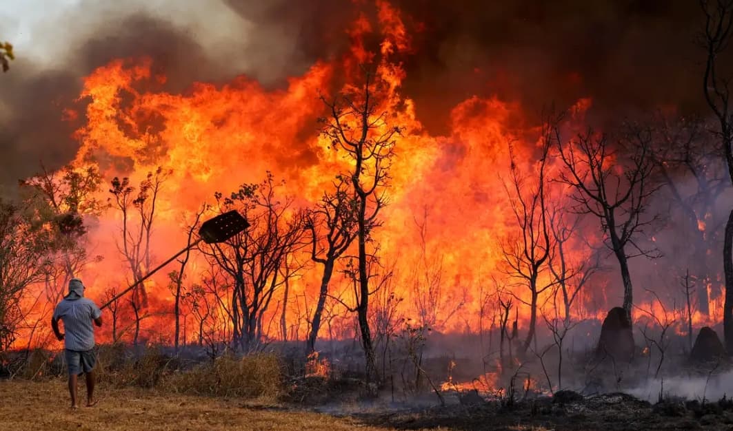 Incêndios disparam e Brasil passa de 10 mil focos em apenas 4 meses