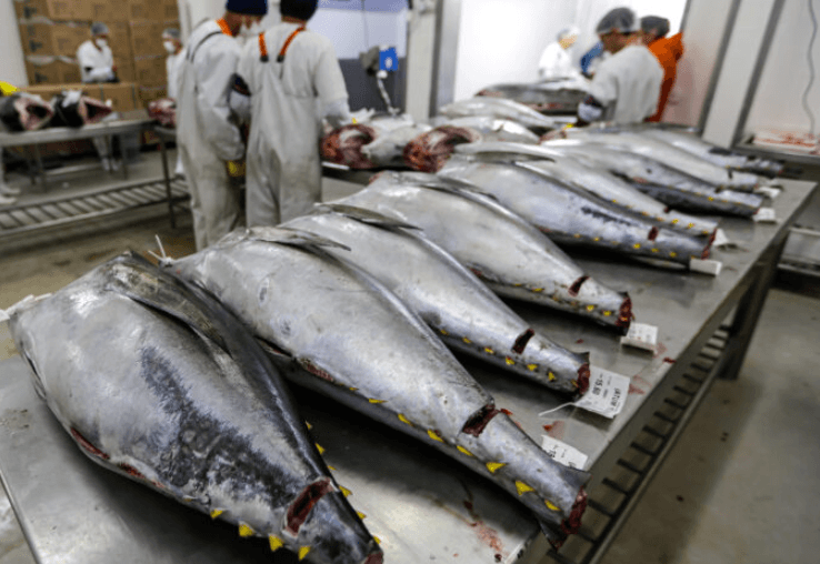 TARIFAÇO: Exportações do RN para os EUA caem 60,8% entre janeiro e maio de 2026 em comparação com o mesmo período do ano passado