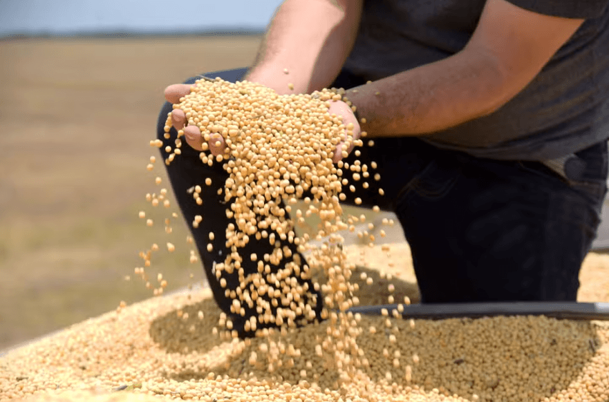 Tarifaço deve atingir 36% das exportações do agronegócio para os EUA, diz CNA