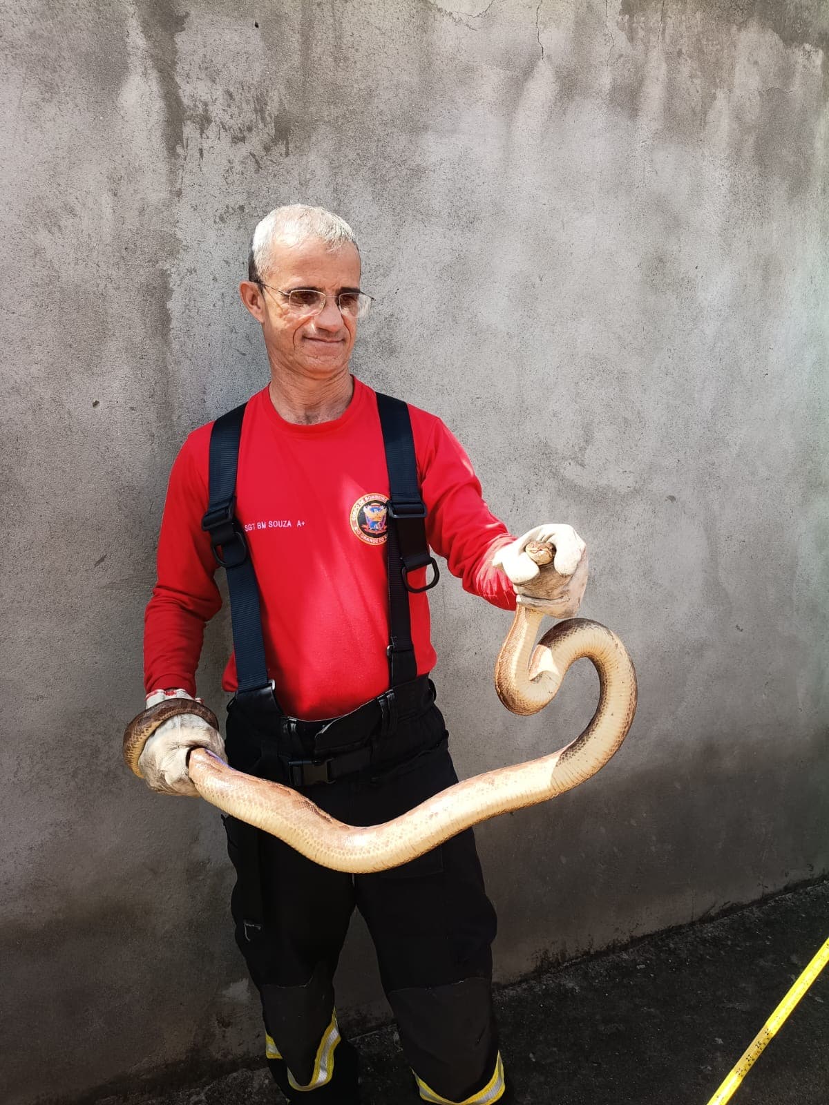 Bombeiros do RN resgatam jiboia em São Gonçalo do Amarante