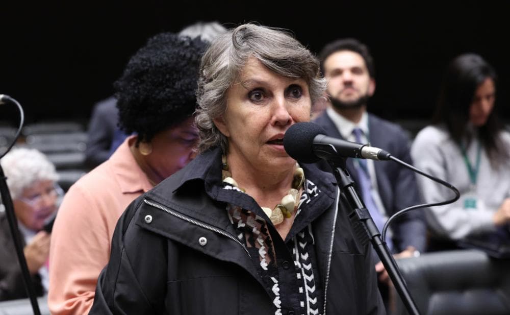 Deputada petista destina R$28,3 milhões para ONGs e zero para saúde