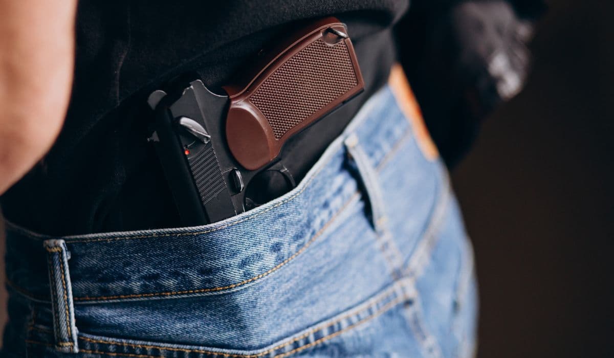Porte de arma pode ser ampliado para advogados, corretores, vigilantes e até veterinários