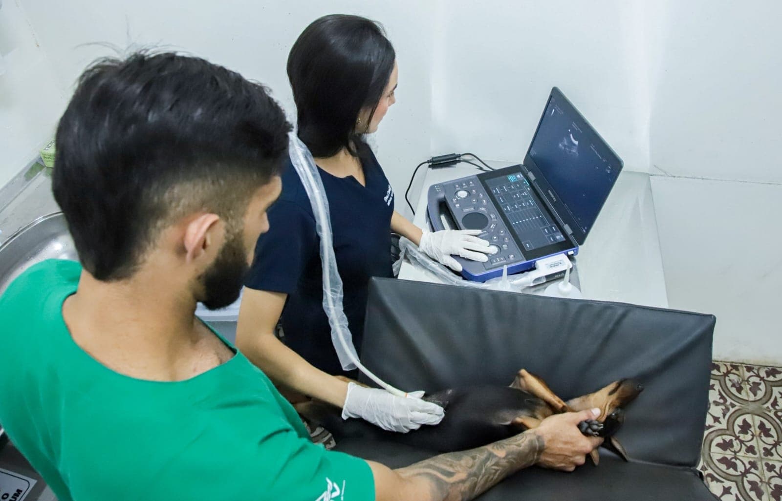 Hospital Público Veterinário de Natal amplia atendimentos e registra crescimento nos serviços