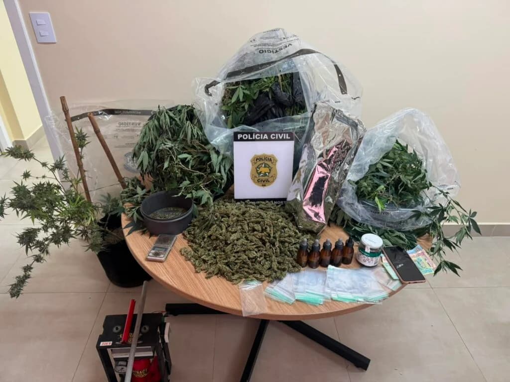 [VÍDEO] Polícia desmonta laboratório de ‘flores de maconha' em Natal; droga seria destinada a turistas