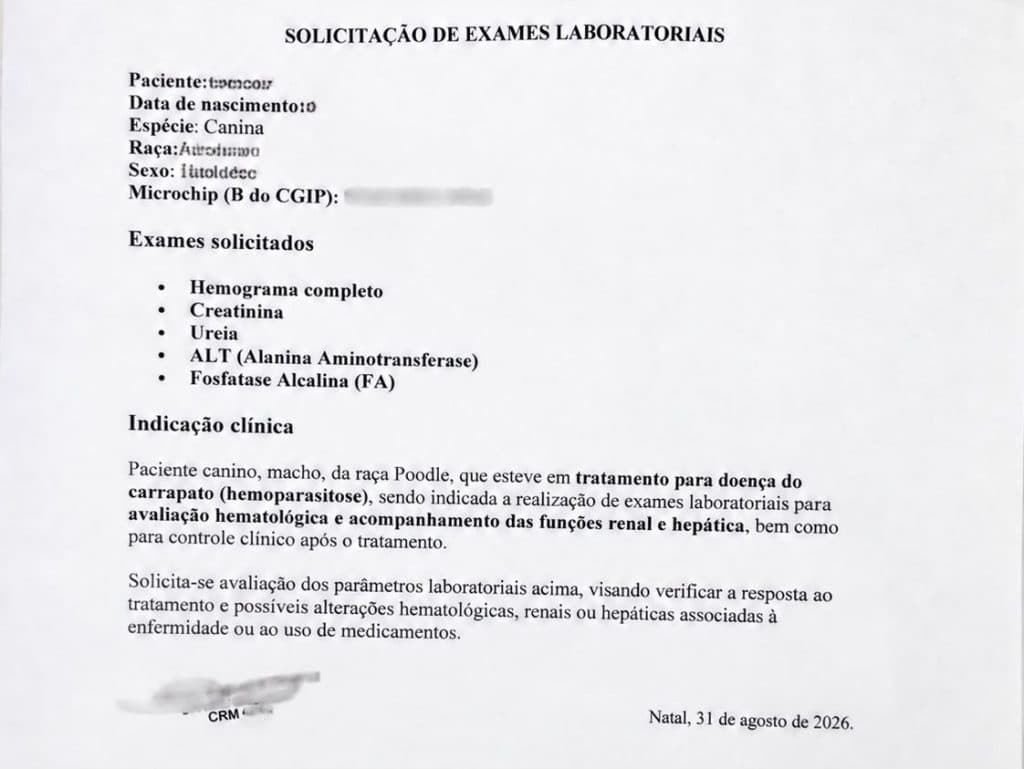 RECEITA PARA ANIMAL NÃO É PARA QUALQUER PROFISSIONAL: Exercício ilegal da Medicina Veterinária agora é crime