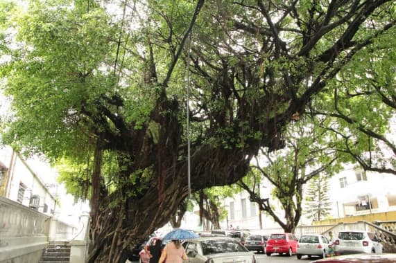 Roubo de fios de telefone e internet prejudica funcionamento da Prefeitura do Natal